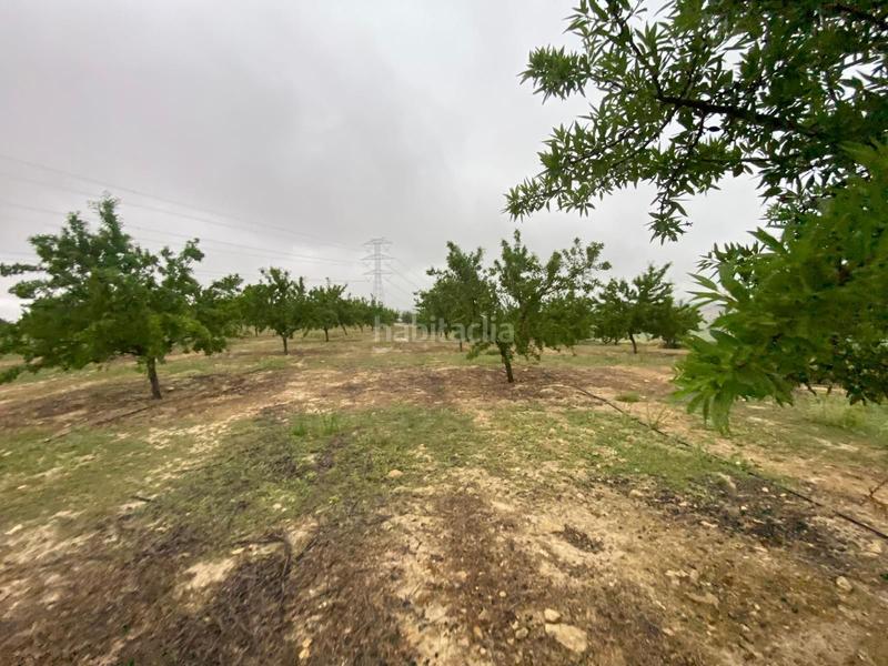 Foto 2b173d35-a8eb-4ec9-b567-f91c8057c1cd. Finca rústica finca de almendros , granada. en Guadahortuna