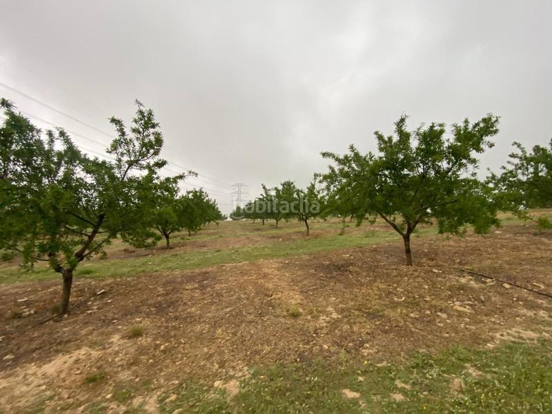 Foto cd6a5c45-097e-4945-9fd1-4644fb2441e3. Finca rústica finca de almendros , granada. en Guadahortuna