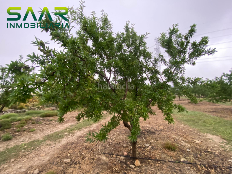 Foto f1e28be6-3477-47c0-9432-9347a7448fe0. Finca rústica finca de almendros , granada. en Guadahortuna