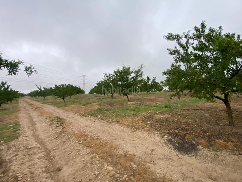 Foto f641c58f-01ff-4bde-94f0-5f76bd595bb1. Finca rústica finca de almendros , granada. en Guadahortuna