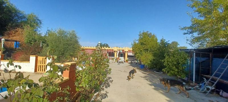 Foto de780e66-0e47-4ada-8c33-ce9f1e9c1653. House in Castilblanco de los Arroyos