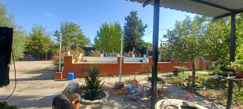 Foto e81c544c-a420-45d5-901c-5b0165a5555f. House in Castilblanco de los Arroyos