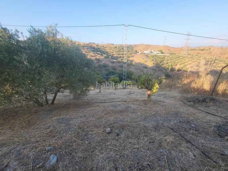 Foto 1d272843-8e6a-41d5-85b6-7f00a960e361. Finca rústica  en estación , málaga. en Cártama