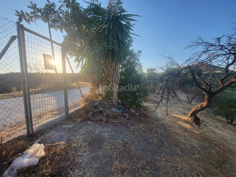 Foto 40bda81f-b955-4e73-b2dd-d38df634729f. Finca rústica  en estación , málaga. en Cártama