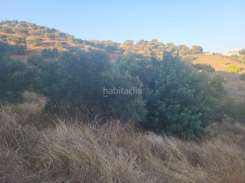 Foto 4fa0310d-6e6d-4243-9e69-b01cee5301ef. Finca rústica  en estación , málaga. en Cártama