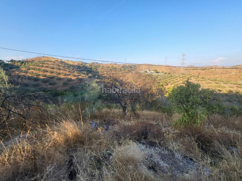 Foto 6980fa7e-84e9-4987-9728-1fb52b4b4cdc. Finca rústica  en estación , málaga. en Cártama