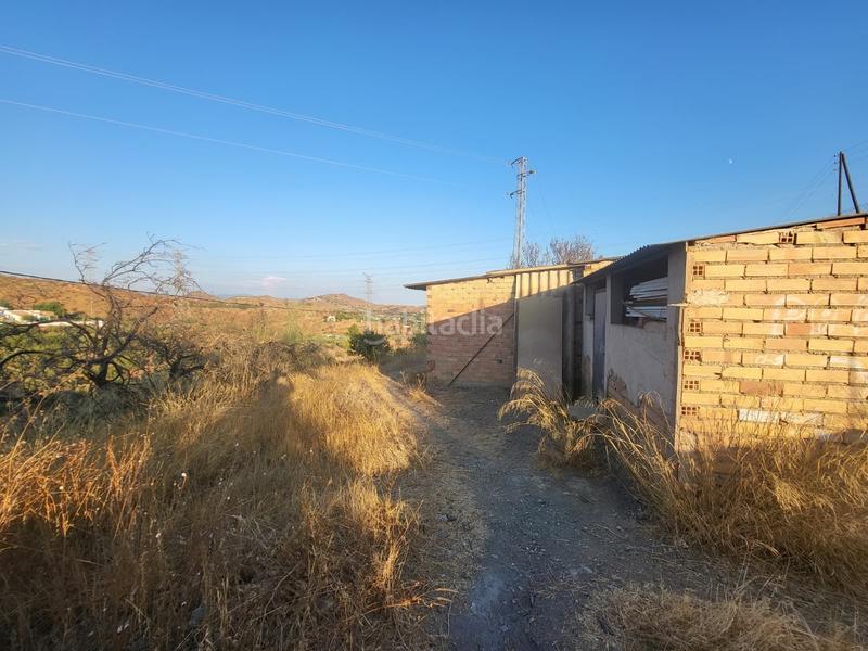 Foto 7b4d8ac7-5e26-46b2-b66d-c810149190d5. Finca rústica  en estación , málaga. en Cártama