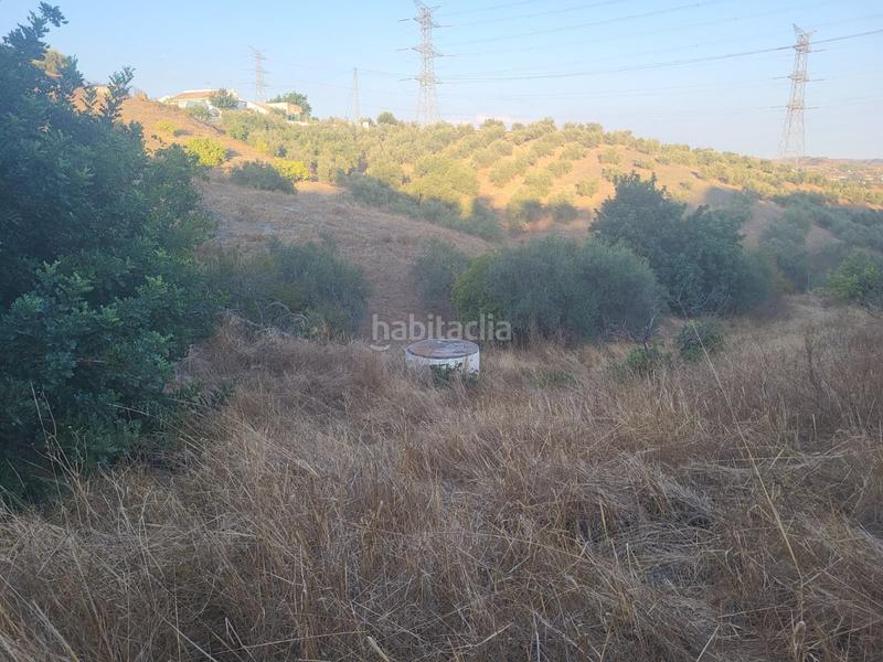Foto 7fd0bdab-1e5a-4ba5-b941-f3998713dd19. Finca rústica  en estación , málaga. en Cártama
