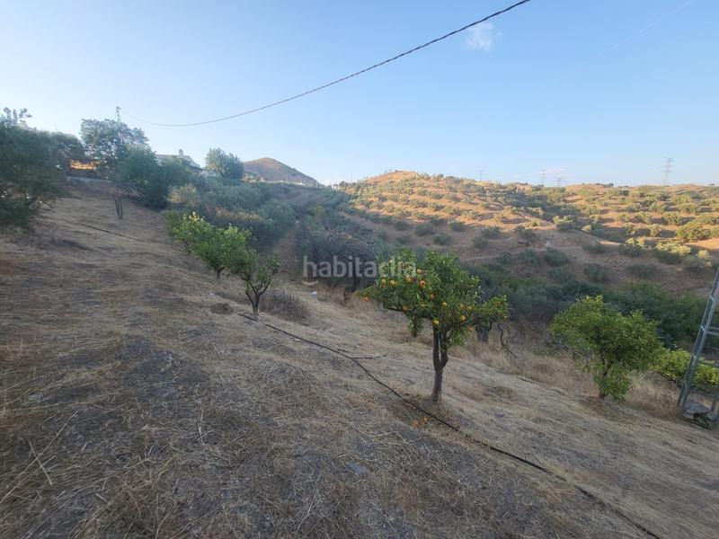 Foto f9084853-c0c4-4a23-a48b-fb0699ed48d8. Finca rústica  en estación , málaga. en Cártama