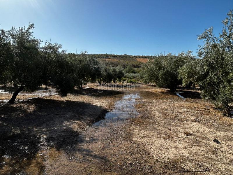 Foto 0a8f285e-ba01-4724-afb0-b480f44c7ae6. Residential plot in Calicasas