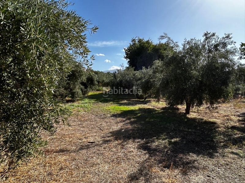 Foto 333c4d5d-d165-4263-8dc2-44d2634117d6. Residential plot in Calicasas