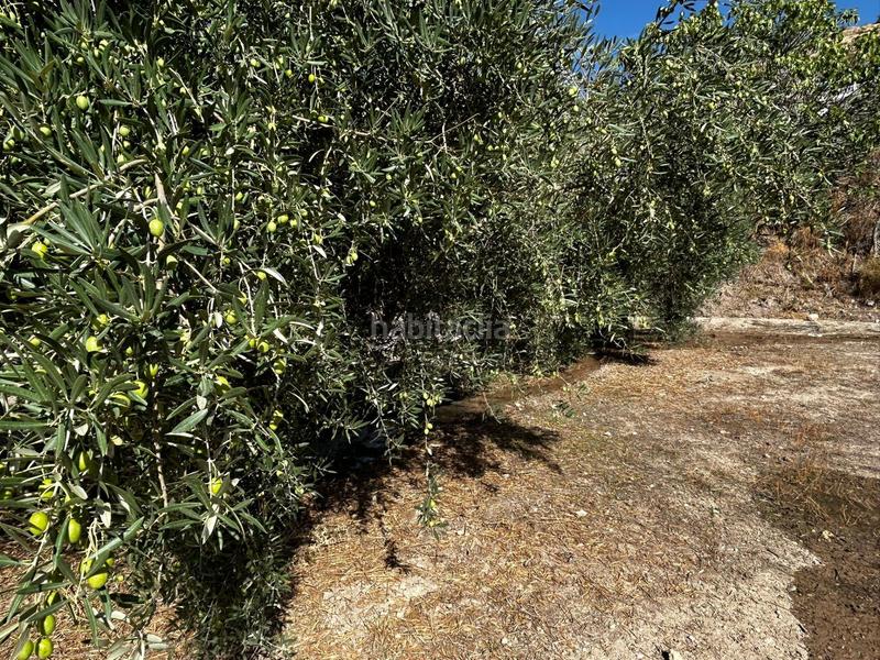 Foto 5c988f50-adf5-4a21-85f7-25144dc68864. Residential plot in Calicasas