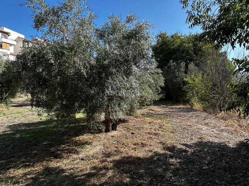 Foto 7477f73b-5a0c-4eac-ab03-08d7ce0ddc97. Residential plot in Calicasas