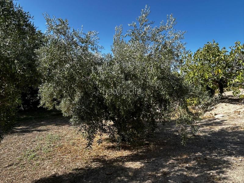 Foto 8999d0a4-5b80-47e9-8068-957396605cc8. Residential plot in Calicasas