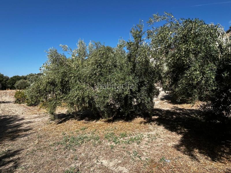 Foto 986f7ca4-061e-40db-8ea6-aebf6f4394fb. Residential plot in Calicasas