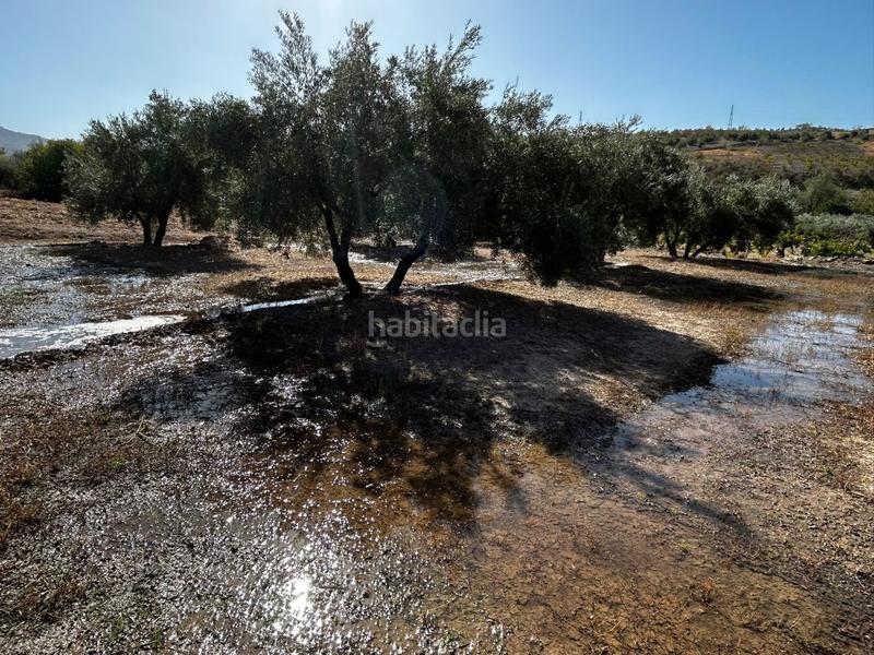 Foto 98d7775f-80ae-430d-9ff1-43e568ed3e55. Residential plot in Calicasas