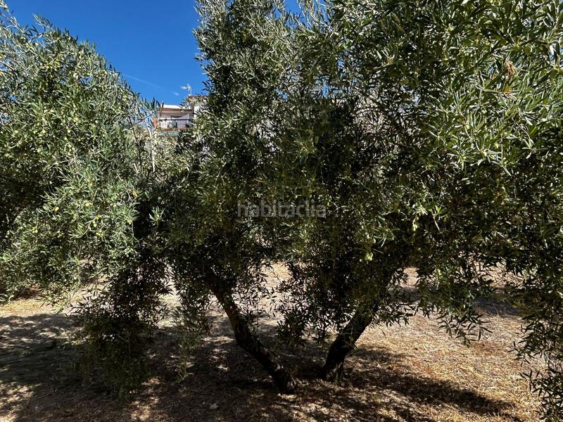 Foto c6b93c17-2638-40c0-9e43-6cbb0264232b. Residential plot in Calicasas