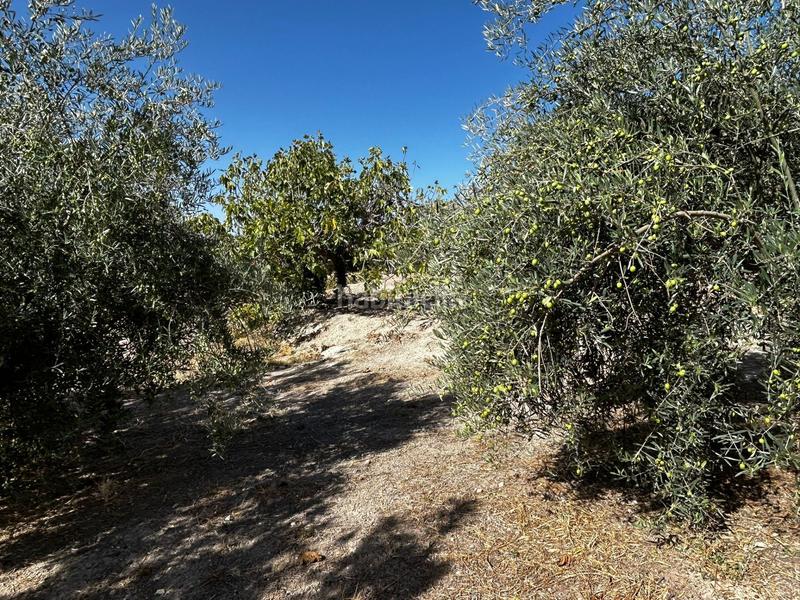 Foto ca51b4d9-ff4b-40d1-8c82-f46eb3d62bf1. Residential plot in Calicasas