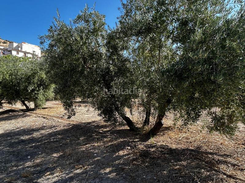 Foto d019b51b-1c17-419d-b68a-8ac6ce99b302. Residential plot in Calicasas