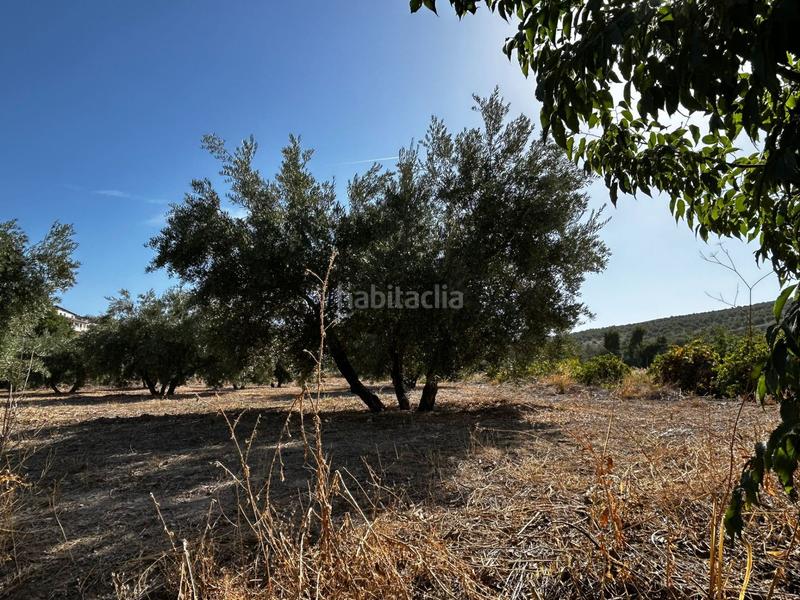 Foto e329bf28-1aa5-424e-a680-abb0dc8e1c1b. Residential plot in Calicasas