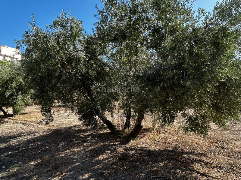 Foto e960ffa1-f230-4f81-a18b-432469d51a4d. Residential plot in Calicasas