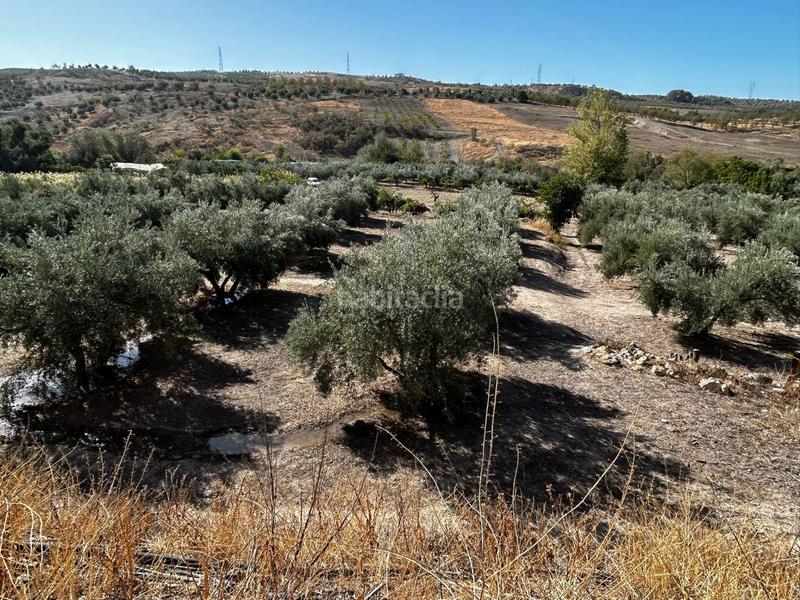 Foto ef7c786f-72d7-4315-80cf-14b5502f698d. Residential plot in Calicasas