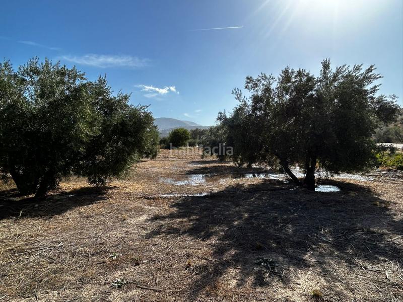 Foto fede0312-9d3f-409b-b590-f72a0bfb6b4c. Residential plot in Calicasas