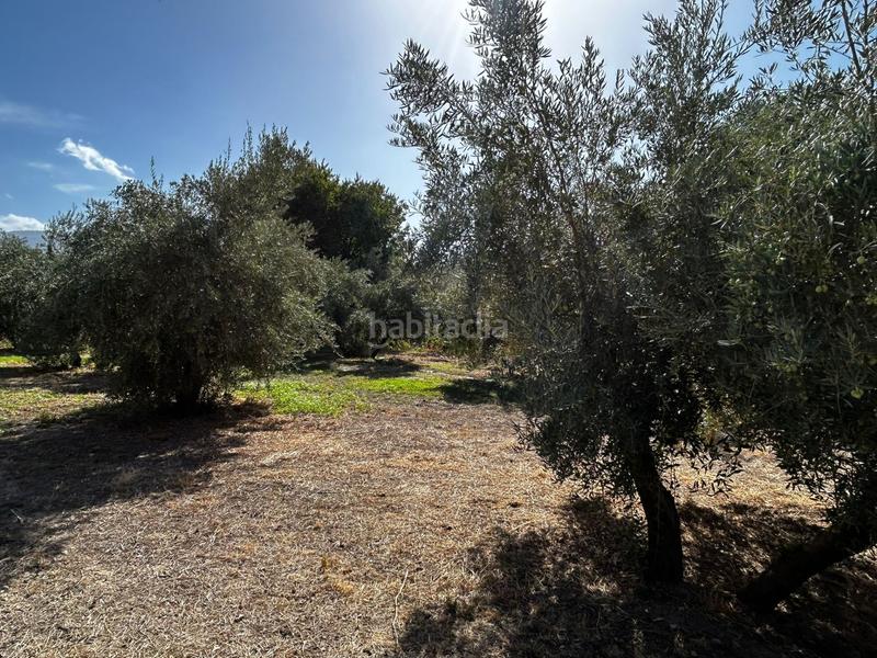 Foto ffac7ba5-0b25-4600-8cbd-beb7bb61d834. Residential plot in Calicasas