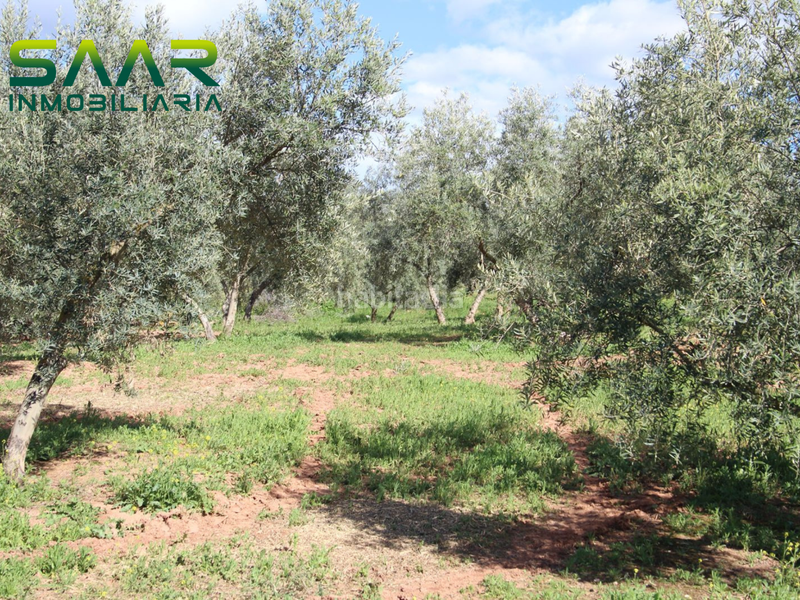 Foto 16f0e621-837a-4f1f-9926-358628eb86dc. Rural plot in Calicasas