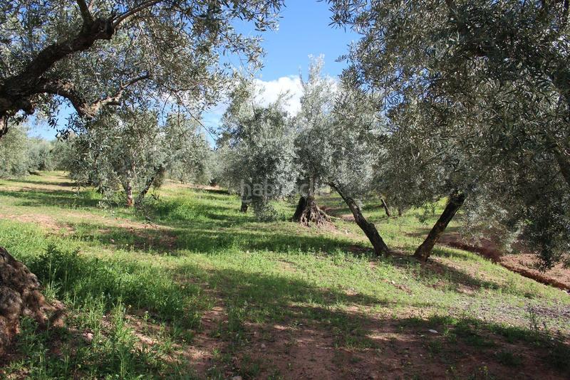 Foto 8ea2503d-fbe6-4630-8ad5-6524e89d9e18. Rural plot in Calicasas