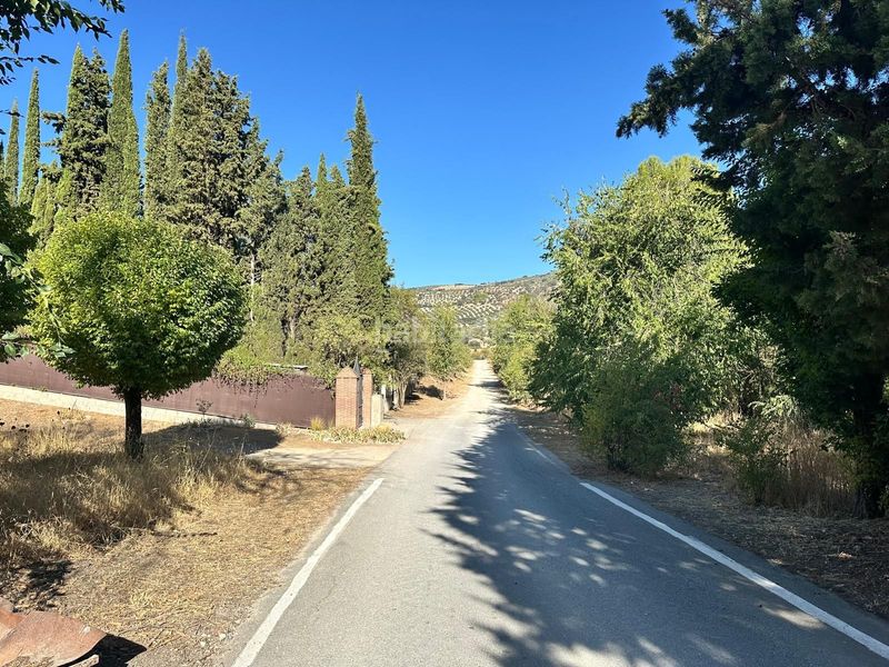Foto e3b378f3-aee3-43c3-8cb1-077f0852163e. Terreny residencial a Íllora