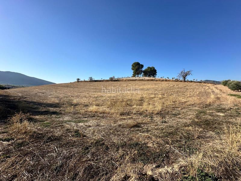 Foto 1d3dd0c6-f21c-4956-9809-06108812376d. Propriété dans Moclín