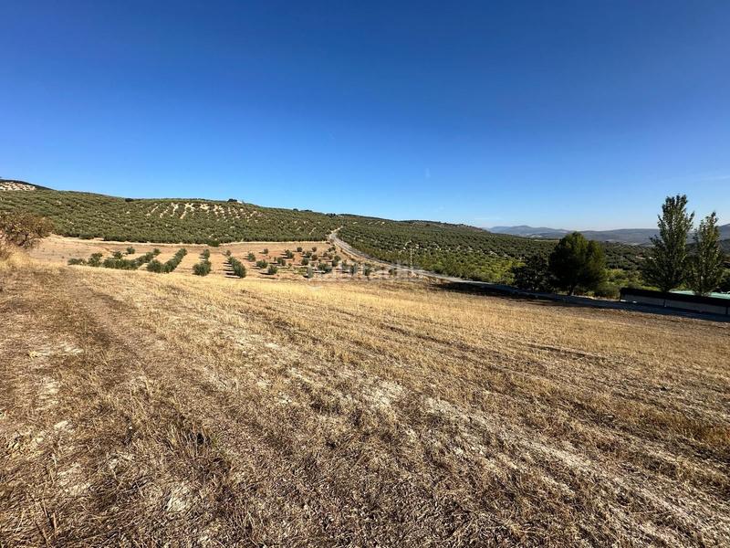 Foto 3e91eb48-7e9e-4b5e-af09-4e2bc6a3a8c2. Propriété dans Moclín