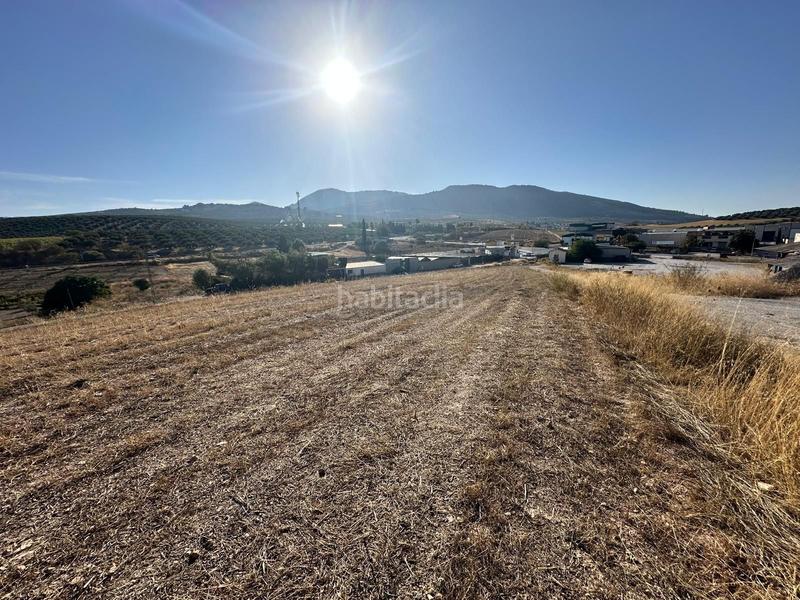 Foto a89e3612-f0b8-4bd6-96cc-c147bb079770. Propriété dans Moclín