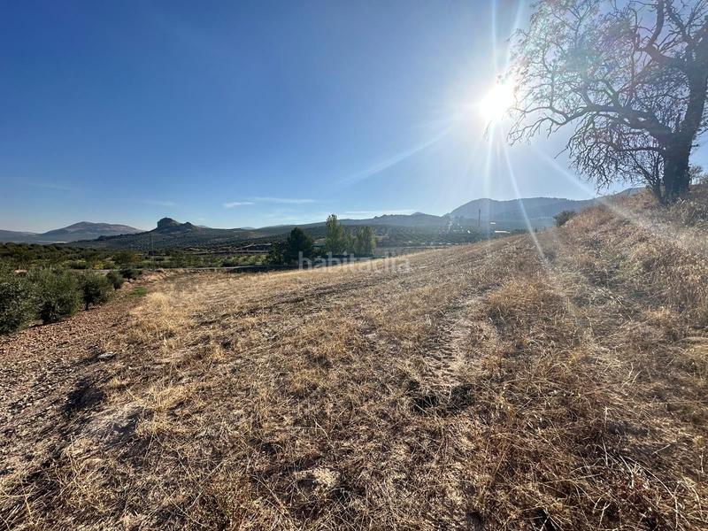 Foto ffaa072a-dd2b-47ea-87a0-3d3aabc5f6cc. Propriété dans Moclín