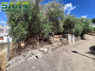 Residential Plot in Ronquillo (El). Solar urbano en el ronquillo sevilla