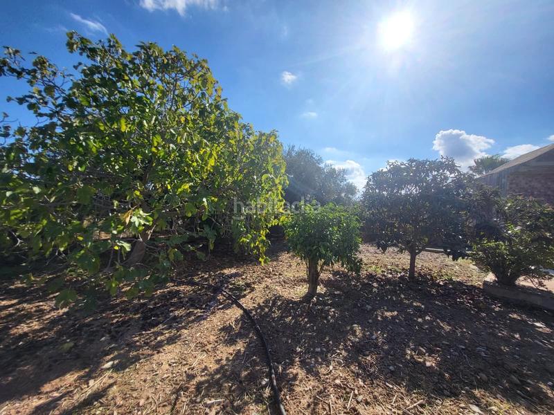 Foto 2143e9a3-afb9-45a7-b773-3553f4b14250. Maison avec piscine dans Cártama
