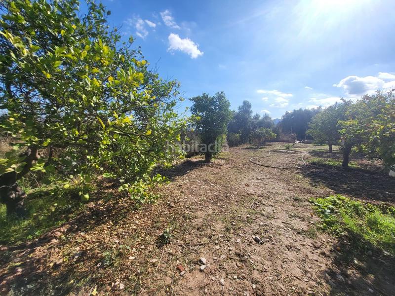 Foto ec9d51aa-df1b-4aba-820d-e6ed2899fba3. Maison avec piscine dans Cártama