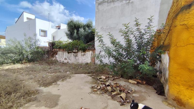 Foto be798779-4d26-4f93-a951-209f0424769e. Casale in Las Pajanosas Guillena