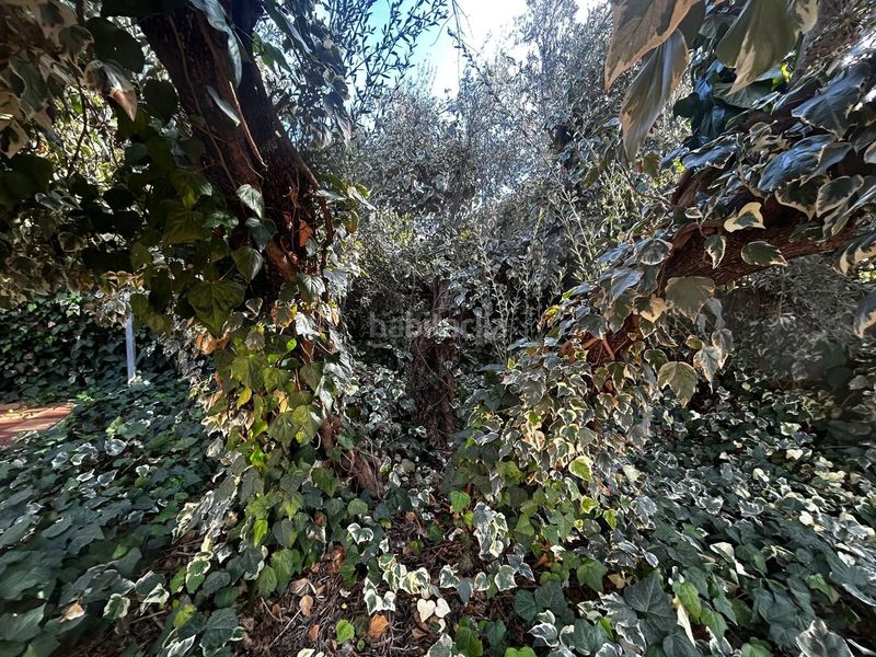 Foto bfcb41a0-869b-4c68-98e0-cd3f37e036ea. Maison dans Atarfe