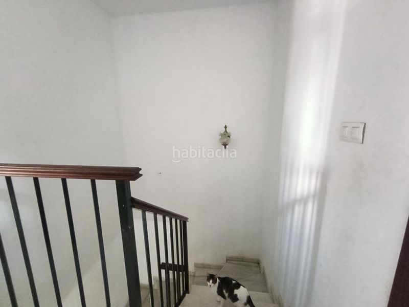 Foto ca62fc6d-8b48-4740-9a22-b98411d58829. Casa adossada a Alcalá del Río