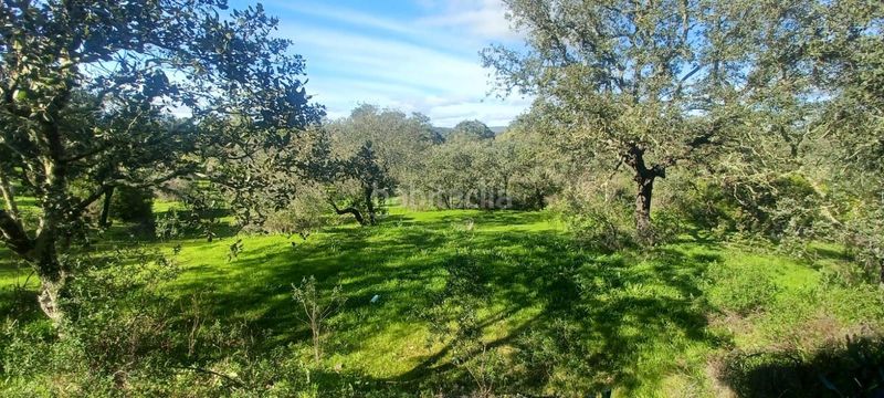 Foto 15c56e23-4f81-48f6-b777-98da7ebfb12b. Casa amb piscina a Castilblanco de los Arroyos