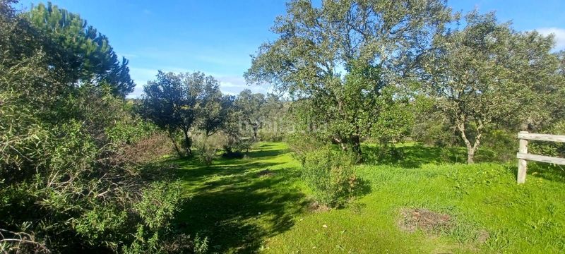 Foto 62cb3b72-ba48-442c-8240-8a8655757ebd. Casa amb piscina a Castilblanco de los Arroyos