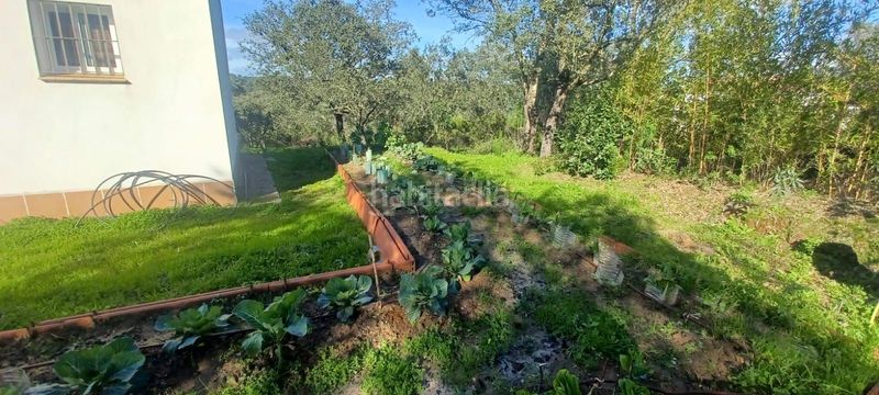 Foto cb9a237b-ce3a-4db4-a8e4-c831a7f8bd87. Casa amb piscina a Castilblanco de los Arroyos