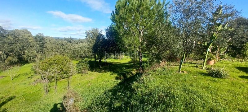 Foto d01bb2e8-87dd-4ffc-820c-9d699feebfa2. Casa amb piscina a Castilblanco de los Arroyos