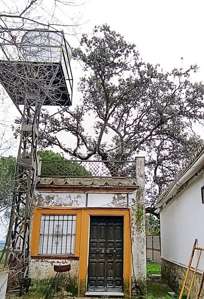 Foto 21b0c96e-f1c0-4e83-a258-e62160a1435d. Casa a Castilblanco de los Arroyos