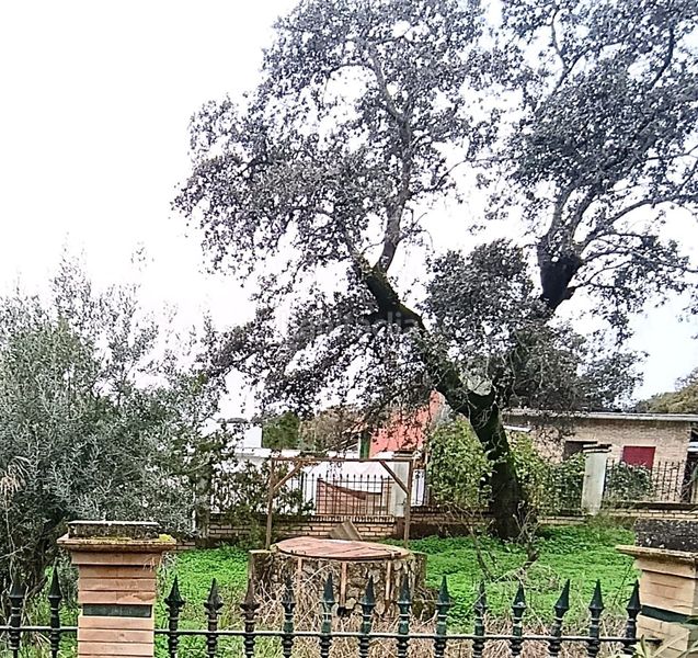 Foto d01443f2-36be-49f7-b2f2-7e510dd7b67d. Casa a Castilblanco de los Arroyos