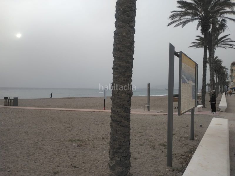 Foto 7d193771-166a-413e-be2f-87f6e9e0fee5. Pis a Torrenueva Motril