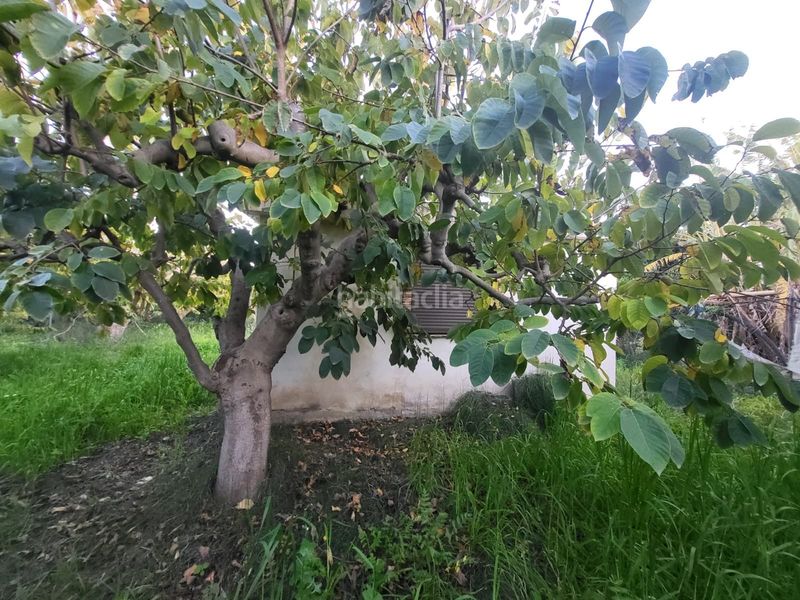 Foto 2190b95e-c0cf-4b37-bc00-1e621b81fc22. Finca rústica a Centro Salobreña