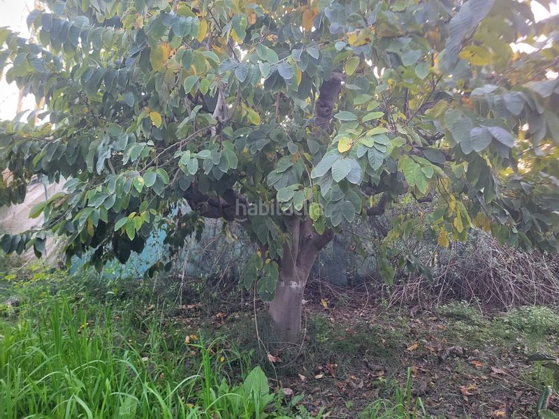 Foto 889319be-564e-487b-b95f-cb1ce54d010b. Finca rústica a Centro Salobreña